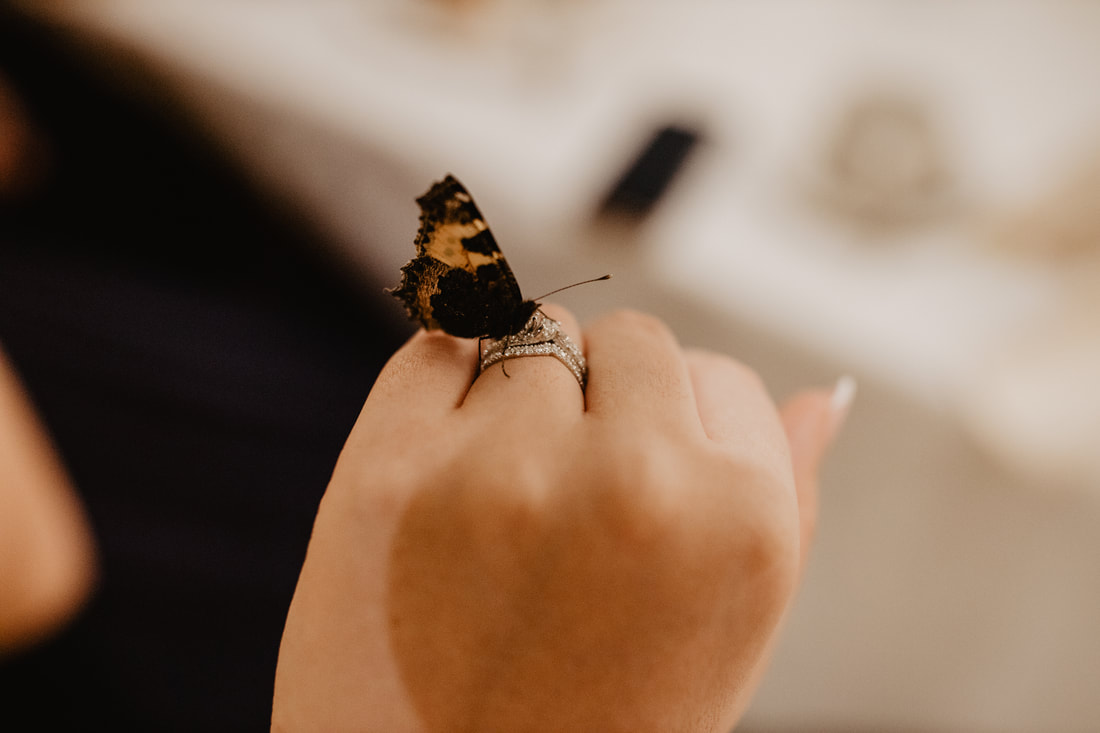 Real Butterfly on brides wedding ring at Clanard court hotel. Wedding photographer in County Kildare Mario Vaitkus 