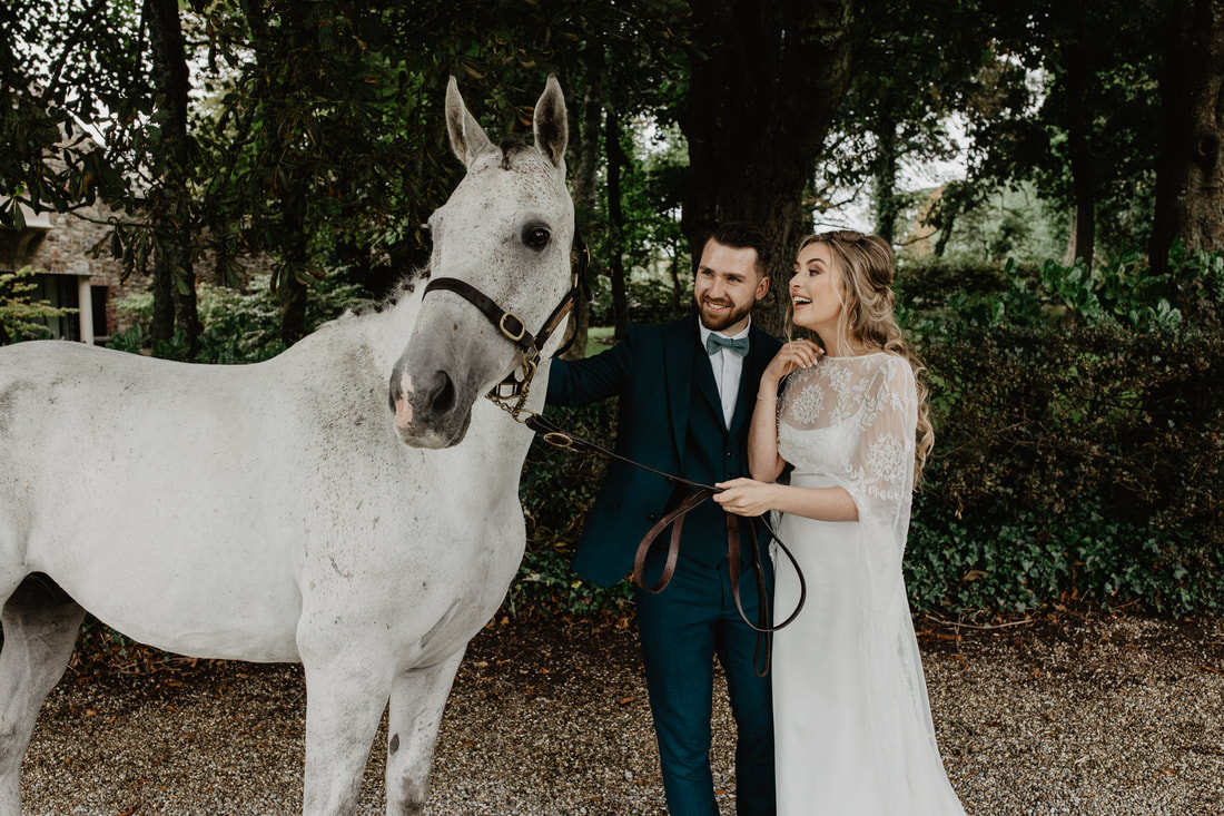 Horse for a bride as a present 