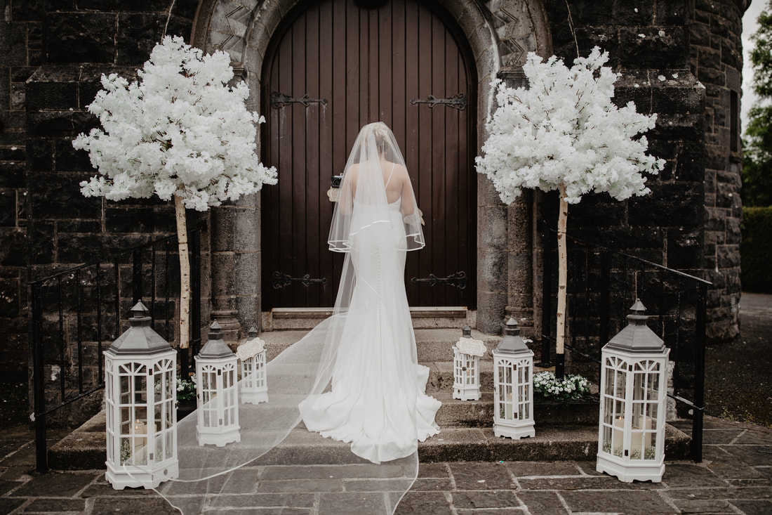 Bride, veil and wedding dress